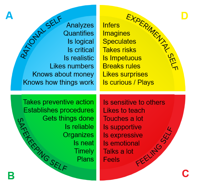 Whole Brain® Thinking | HBDI® - Transformational Meta Coaching